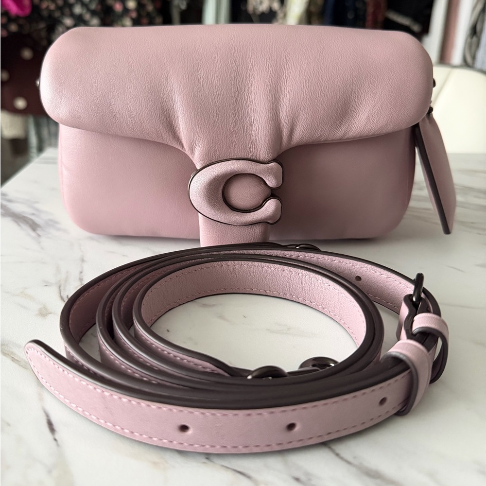 Coach Pillow tabby 18